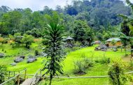 Pondok Halimun, Objek Wisata Alam dengan Sejuta Pesona di Sukabumi
