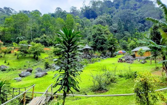 Pondok Halimun, Objek Wisata Alam dengan Sejuta Pesona di Sukabumi
