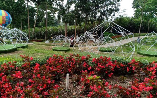 Alamanda Jogja Flower Garden, Taman Bunga Cantik & Kekinian di Sleman