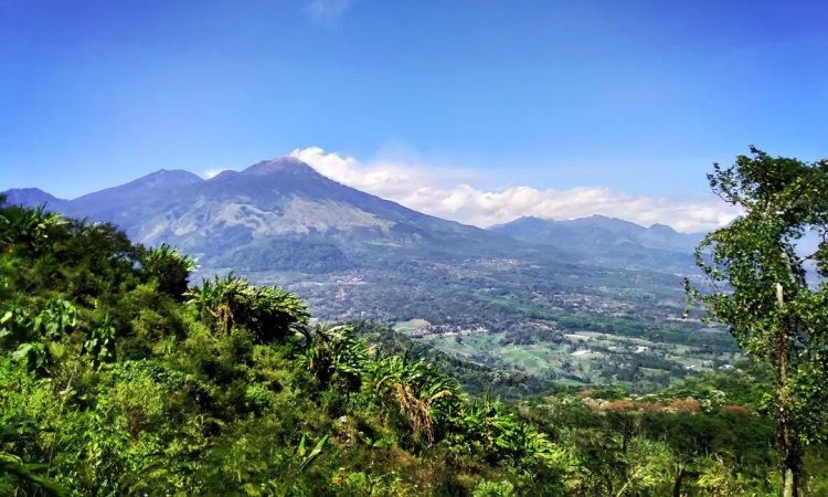 Gunung Bekel, Menikmati Panorama Alam Indah dari Ketinggian di Probolinggo