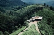 Kebun Teh Cipasung, Menikmati Panorama Alam Indah Nan Hijau di Majalengka