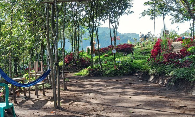 Wisata Panorama Petung Sewu, Pesona Alam Eksotis Nan Menawan di Mojokerto