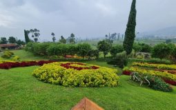 Taman Kelinci Ciwidey, Destinasi Liburan Keluarga yang Seru di Bandung