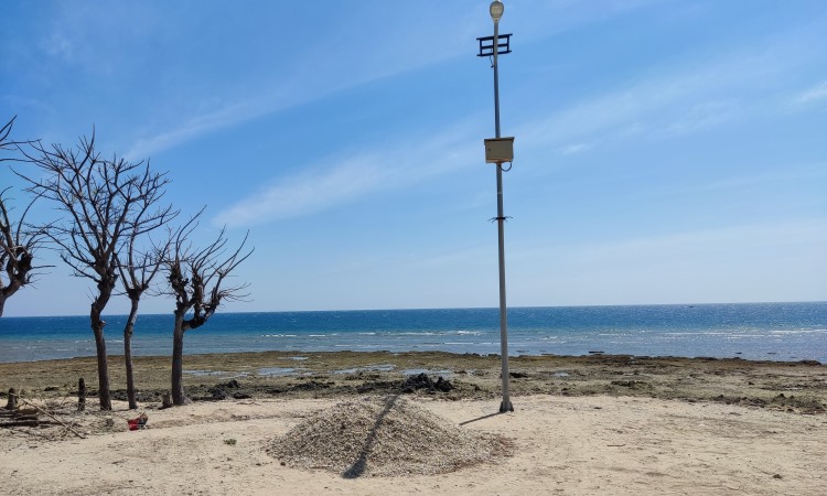 Daya Tarik Pantai Gili Ketapang