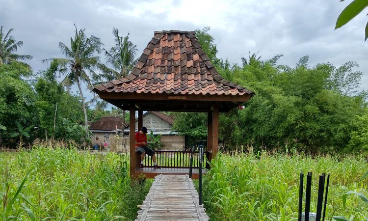 Kemudahan Kampung Pelancongan Tambi