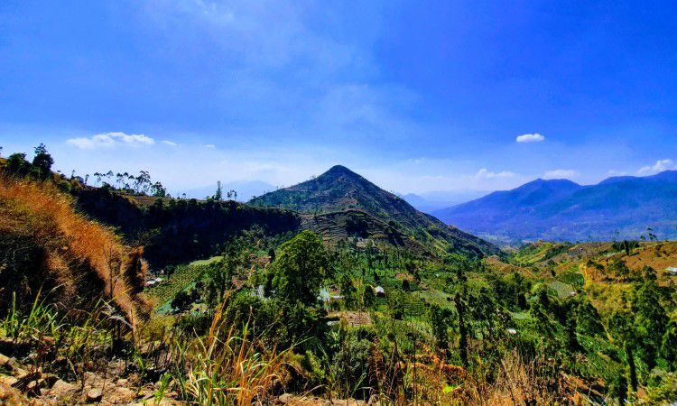 Gunung Sadahurip, Spot Camping dengan View Alam Memukau di Garut
