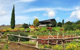 Happy Farm Ciwidey, Tempat Rekreasi Favorit untuk Liburan Keluarga di Bandung