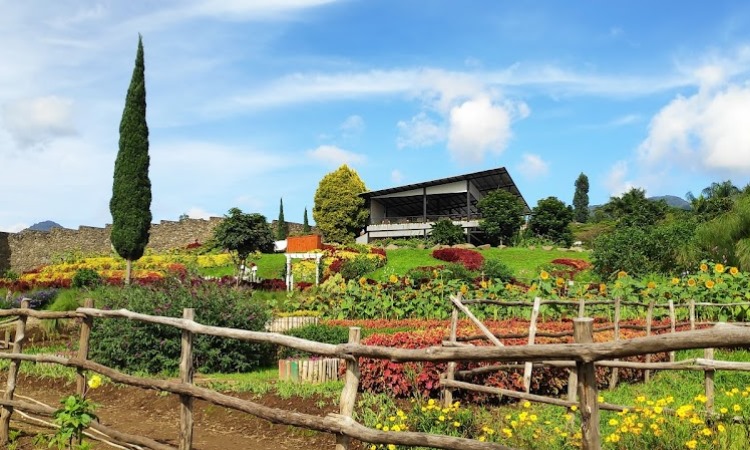 Happy Farm Ciwidey, Tempat Rekreasi Favorit untuk Liburan Keluarga di Bandung