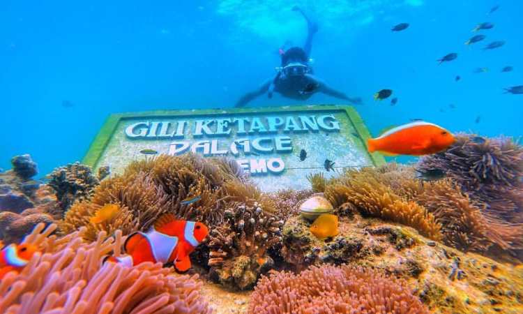 Kegiatan Menarik Pantai Gili Ketapang