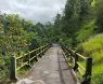 Plunyon Kalikuning, Wisata Alam Hits dengan Spot Foto Menarik di Sleman