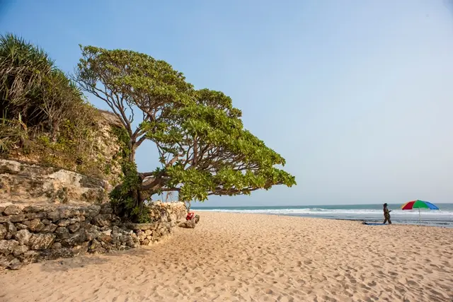 Shutterstock Wisata Pantai Pok Tunggal