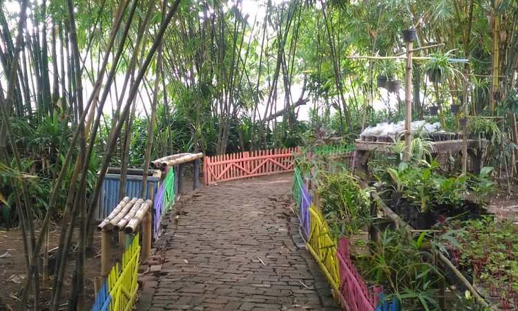Alamat Hutan Bambu Bekasi