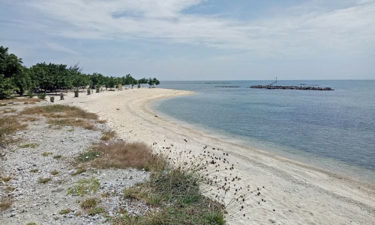 Daya Tarik Dimiliki Pantai Untung Jawa
