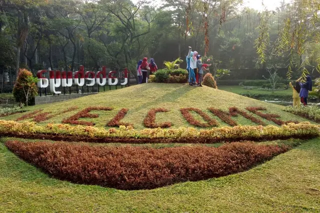 Aktivitas Seru Taman Tabebuya Jakarta