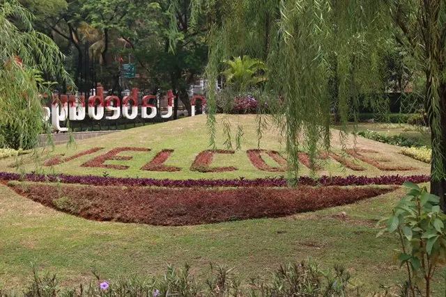 Daya Tarik Taman Tabebuya Jakarta
